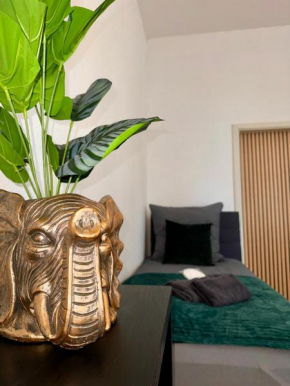Wohnung im Zentrum 1